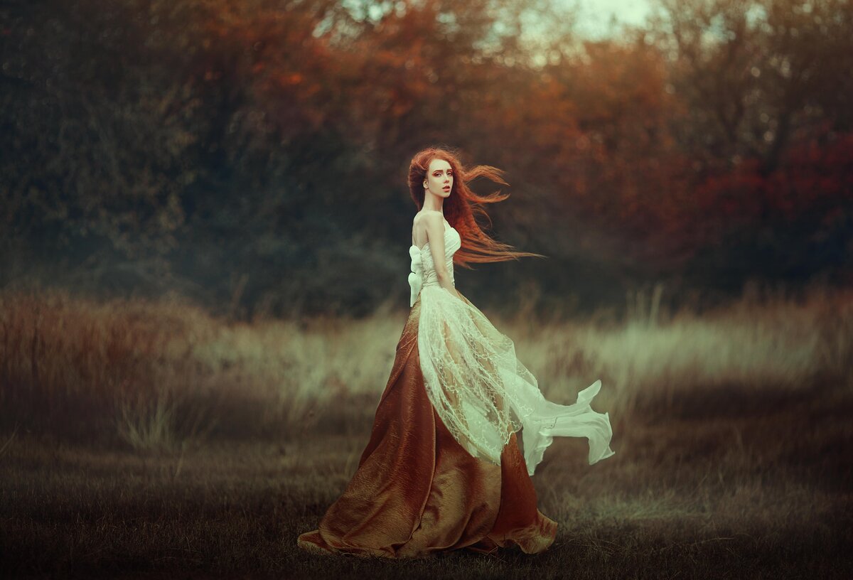    фото: moredix / Adobe Stock
