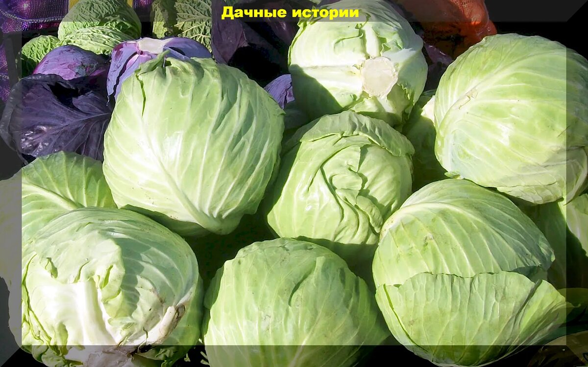 https://vk.com/photo-159774511_457255839
