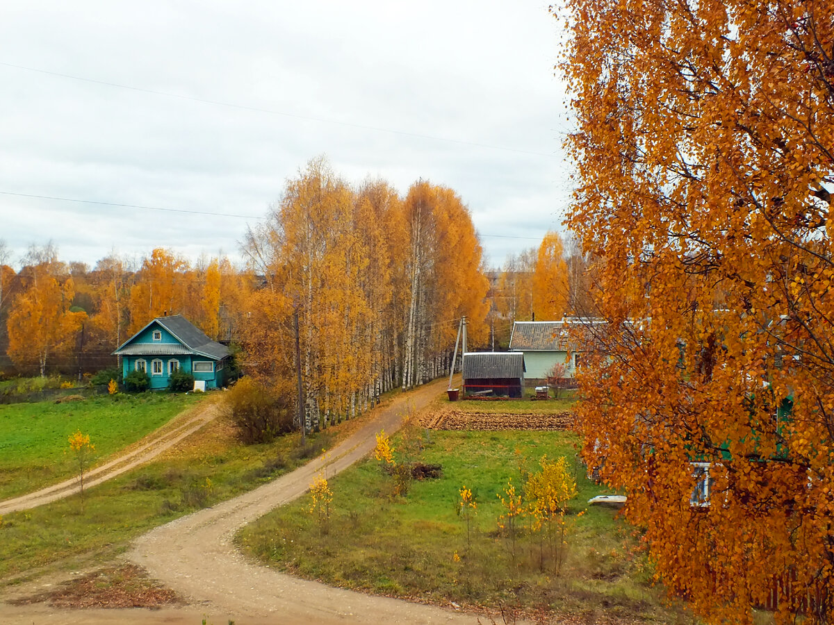 Деревенская осень 