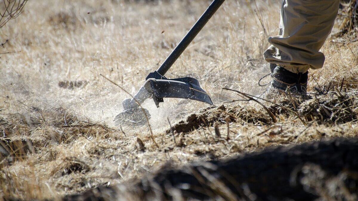    Рабочий с мотопилойCC0 / Joshua Tree National Park / NCCC - Fuels Reduction