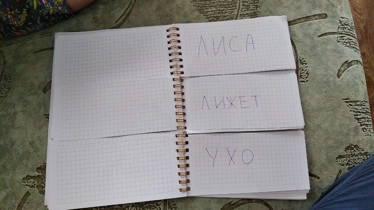 Тетрадки, конечно, можно время от времени менять, усложняя слова. 