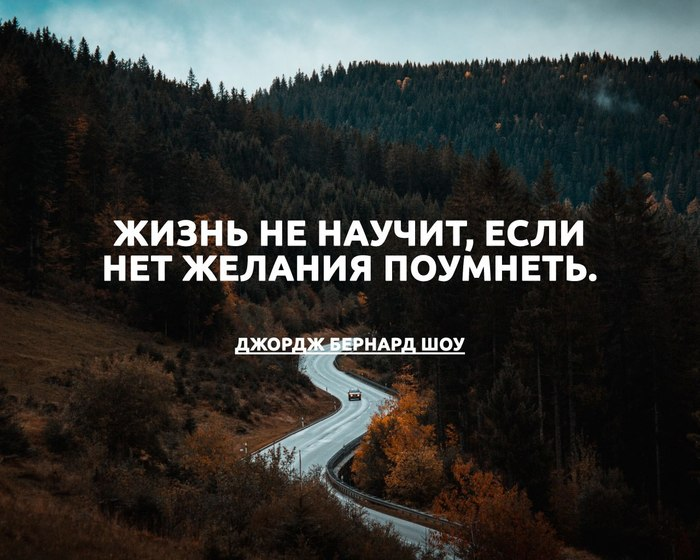 Учись быть другом. Жизнь научила. Жизнь научила цитаты. Жизнь учит. Жизнь учит афоризмы