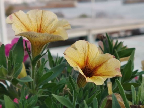     Озвучен прогноз погоды в Хабаровске на 30 сентября Ольга Григорьева