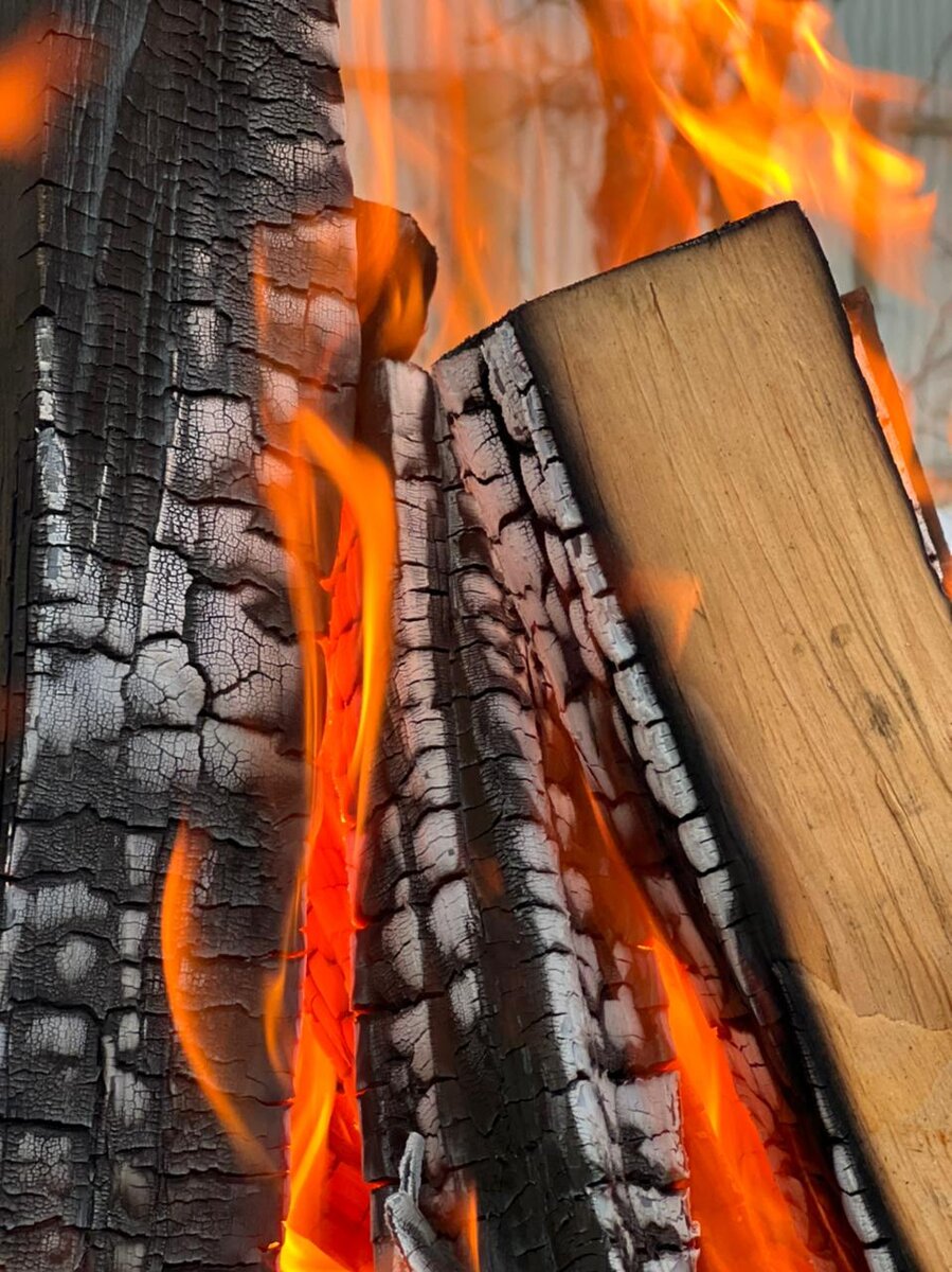 Дрова не только источник тепла и комфорта в доме, но и являются отличным удобрением в саду и огороде. 