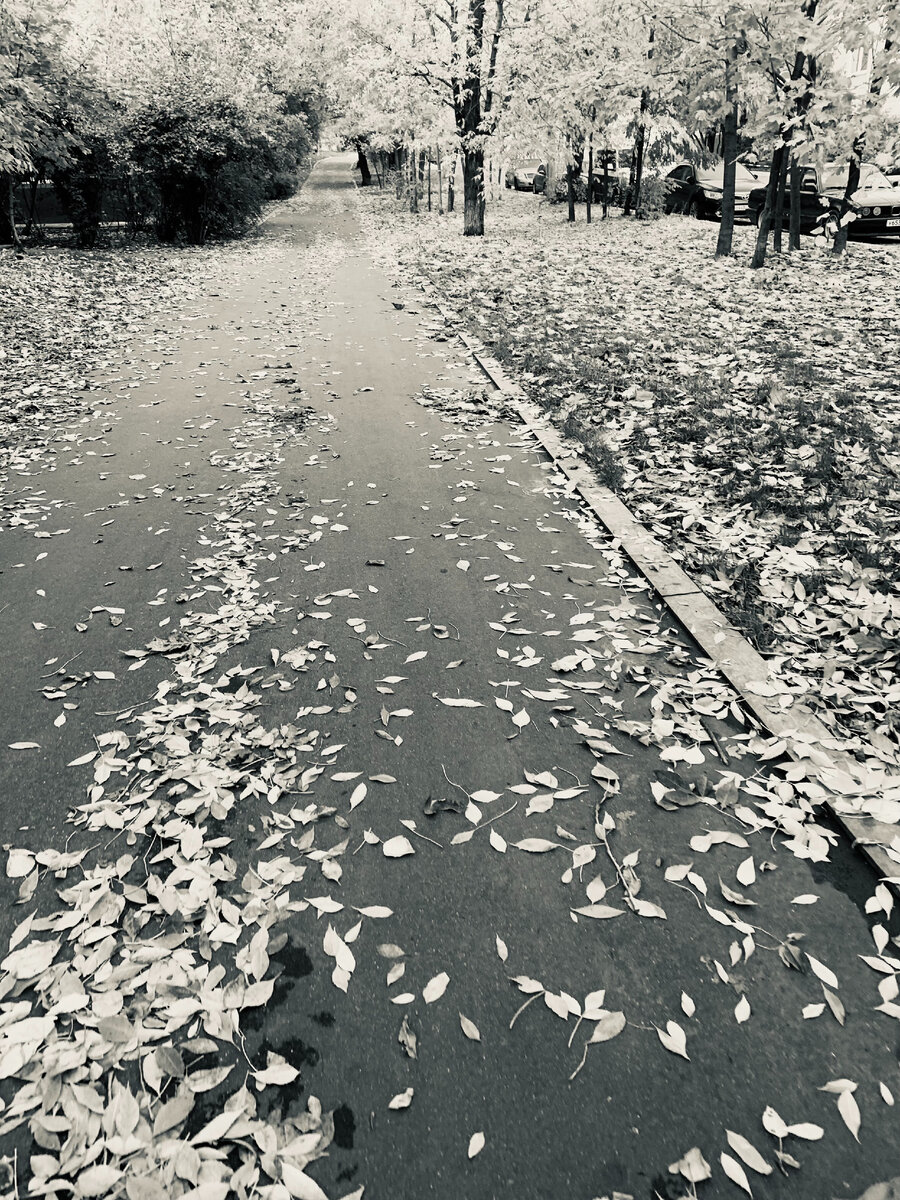 Все права на фото и рассказ принадлежат автору. Запрещается копирование, распространение или любое иное использование информации и объектов авторского права без предварительного согласия правообладателя