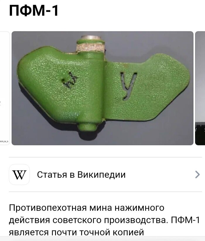 Лепесток. Фото из Википедии. 