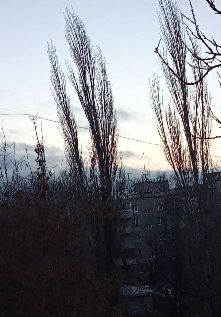 Похолодало +3 и пасмурно.