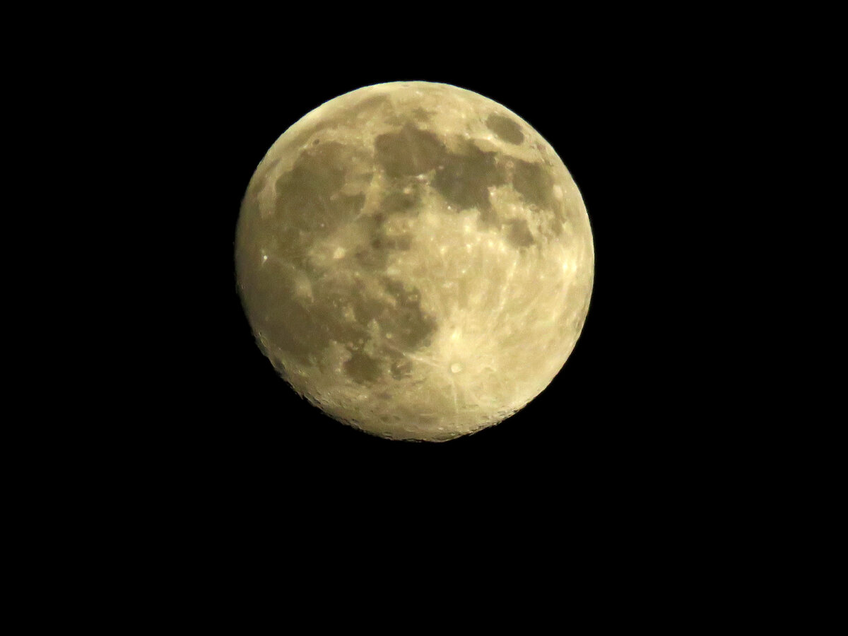 Фото из галереи канала Anna Seton.