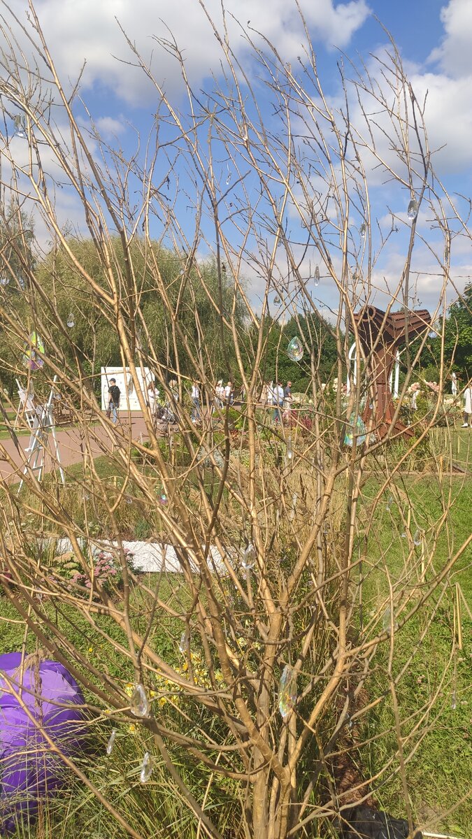 Дерево поближе