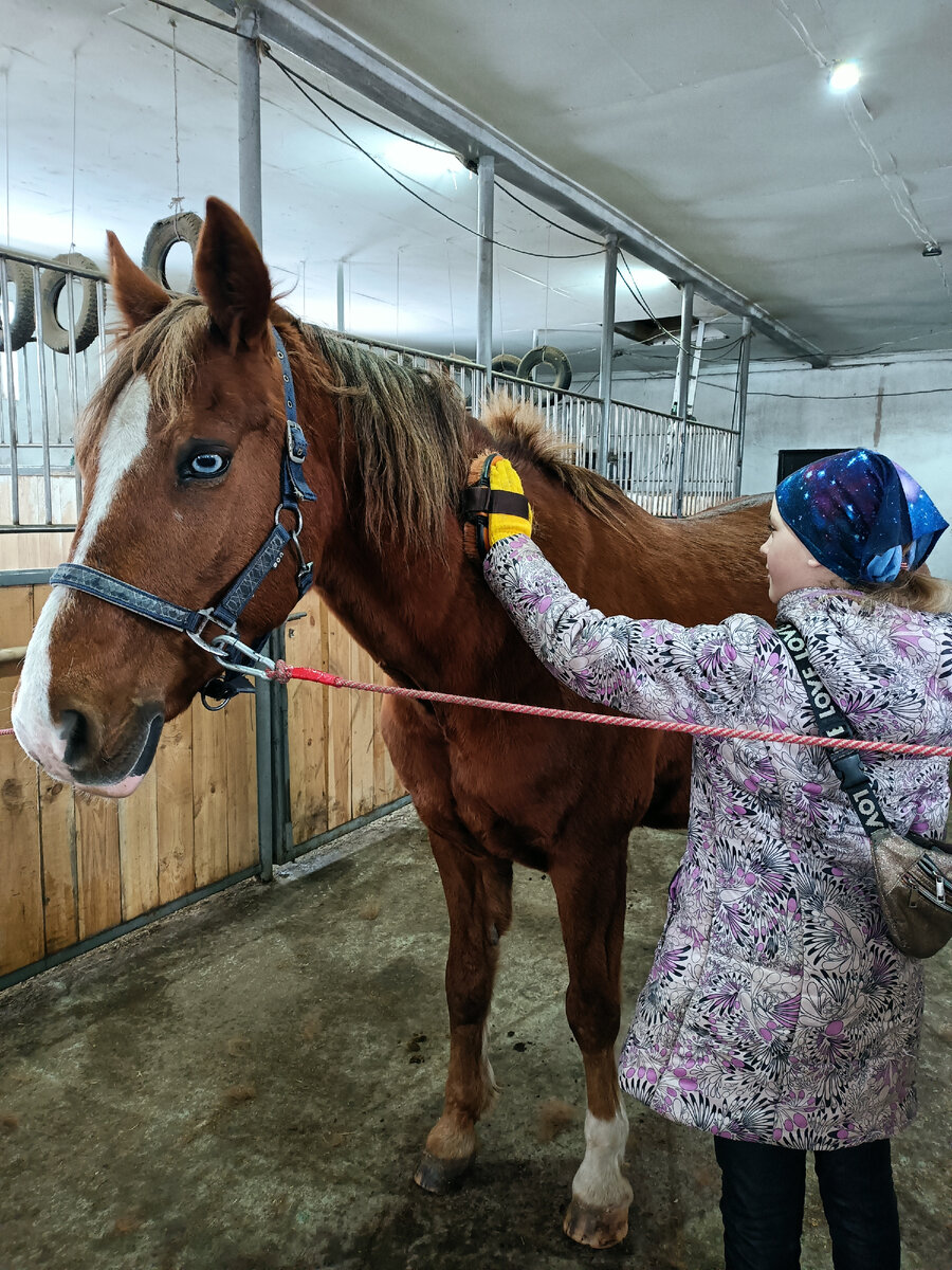 От шеи до хвоста