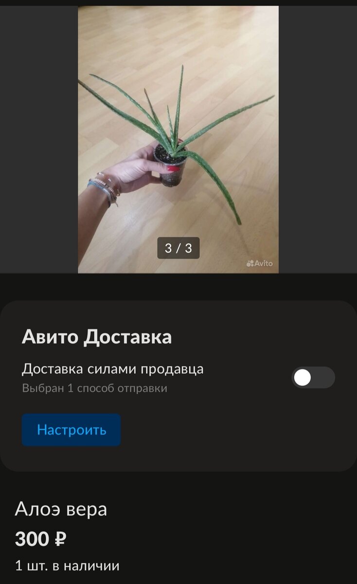 Скриншот автора