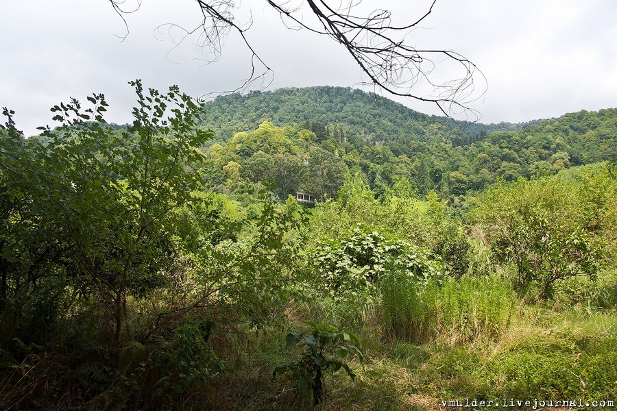 Всё началось с того, что рыба не клевала, а червяки закончились, поездка сорвалась, поскольку шел дождь и было грязно, а лежать на море тупо уже надоело. Что делать? Ясное дело - куда-то идти. И вспомнилась отметка на карте под кодовым названием "Паровозик из Ромашково". Ясное дело - маршрутов и дорог не знаю, пру на угад по вектору. Путь преградила Дача тов. Сталина, которую нынешний президент себе приватизировал, и поставил туда мегасекьюрити в виде одного маленького но очень противного и упоротого хачика. Что делать? Пытаться обойти. Местные нихера не знают ни о паровозе ни о чем бы то ни было - пру через брошенные турбазы от которых уже ничего не осталось, и тут сады. кажется есть тропа....вперёд. 

Фото 2. 
