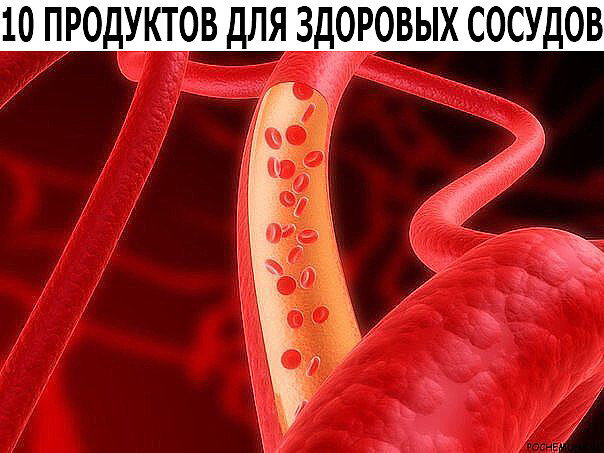 10 ПРОДУКТОВ ДЛЯ ЗДОРОВЫХ СОСУДОВ!  1. Авокадо Ученые из Мексики обнаружили, что у людей, которые ежедневно в течение недели едят авокадо, в среднем на 17% снижается уровень плохого холестерина крови снижается. Кусочки авокадо можно нарезать слайсами и класть на бутерброд или же нарезать кубиками и добавлять в салаты. 2. Цельнозерновые продукты Клетчатка, которая содержится в целом зерне (цельнозерновой хлеб, неочищенный рис, овсяная и гречневая крупы), выводит лишний холестерин из организма. 3. Лосось (или другая жирная рыба) Жирная рыба, такая как скумбрия, сельдь, тунец и лосось содержит омега-3 жирные кислоты. Употребление жирной рыбы дважды в неделю снижает риск развития сердечных заболеваний, уменьшает воспаление и улучшает холестериновый обмен. 4. Спаржа Спаржа является одним из лучших, естественных очистителей артерий – она содержит много фолатов, которые лечат многолетнее воспаление сосудов и снижают артериальное давление. Поэтому спаржа считается природным лекарством, которое предотвращает образование тромбов. Варить спаржу нужно лишь пару минут в подсоленной воде, затем лишь сбрызнуть сливочным растопленным маслом или оливковым маслом и подавать как гарнир. 5. Гранат Гранат содержит много фитохимических веществ, которые защищают слизистые оболочки артерий от воспалений и повреждений. Гранатовый сок стимулирует образование в организме окиси азота, что расширяет сосуды и улучшает движение крови в сосудах. 6. Брокколи Брокколи богата витамином К, который необходим для укрепления костей и предотвращения отложения кальция в холестериновых бляшках. Кроме того, в брокколи много клетчатки, которая нормализует кровяное давление и уровень холестерина. Употребляйте брокколи в супах и в качестве гарнира. И чем чаще, тем лучше. 7. Куркума Специя куркума имеет очень сильное противовоспалительное действие, поскольку содержит куркумин. Воспаление является основной причиной атеросклероза и последующего затвердевания артерий. Куркумин же способствует уменьшению жировых отложений в артериях на целых 26%. Добавлять куркуму можно в первые и вторые блюда, а также в теплое молоко. 8. Хурма Исследования показывают – полифенолы, которых много в этом фрукте (хурма содержит в два раза больше клетчатки и больше антиоксидантов, чем яблоко) могут уменьшить налипание холестерина на внутренние стенки сосудов. 9. Клюква Исследования показывают, что богатая калием клюква может помочь снизить уровень плохого холестерина, а регулярное употребление этих кисловатых ягод может помочь снизить общий риск сердечно-сосудистых заболеваний на целых 40%! 10. Шпинат Калий и фолиевая кислота, которые содержатся в шпинате, помогают снизить кровяное давление, и, согласно последним исследованиям, одна порция шпината в день может помочь снизить риск сердечных заболеваний на 11%. В зимнее время свежий шпинат можно заменить мороженым и добавлять его в омлеты, салаты, пасту
