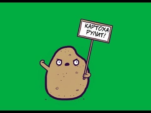 (фото из Яндекса)