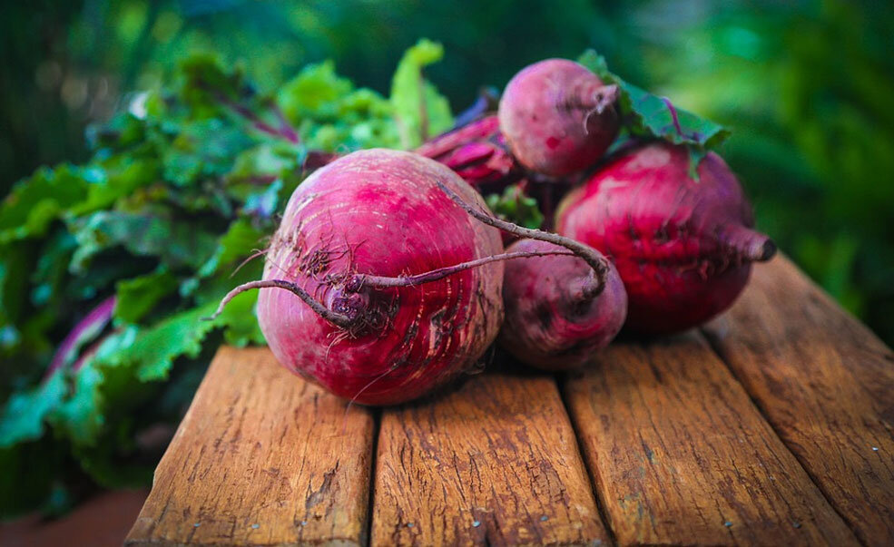 Крупная садовая свекла после правильного ухода