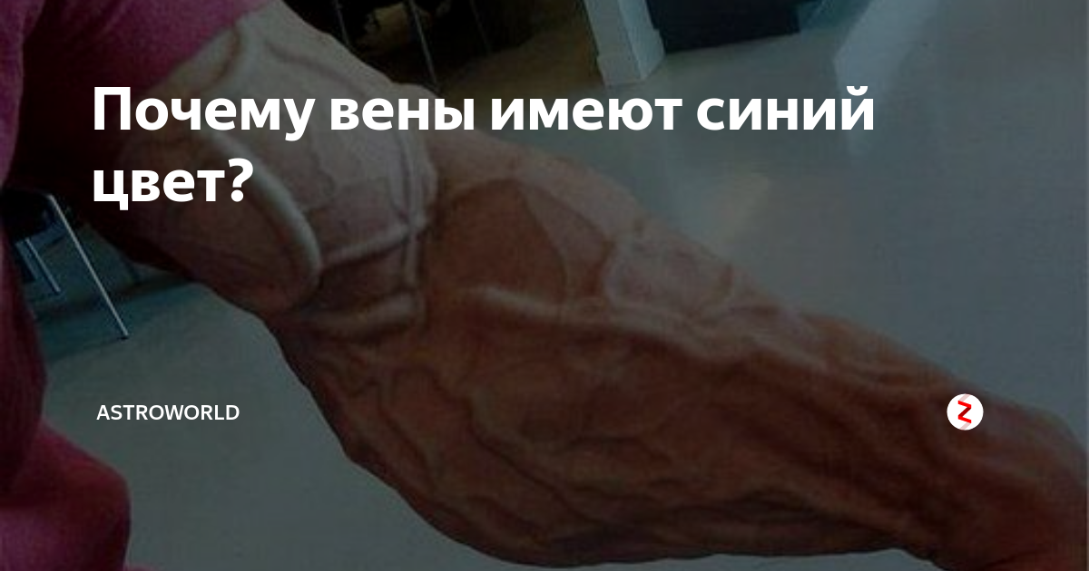 Почему синие вены на руках. Почему вены синие а кровь красная.
