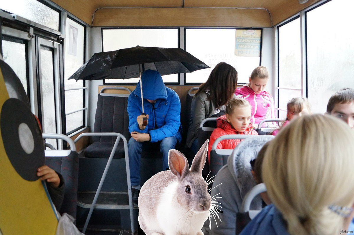 Заяц на переднем плане