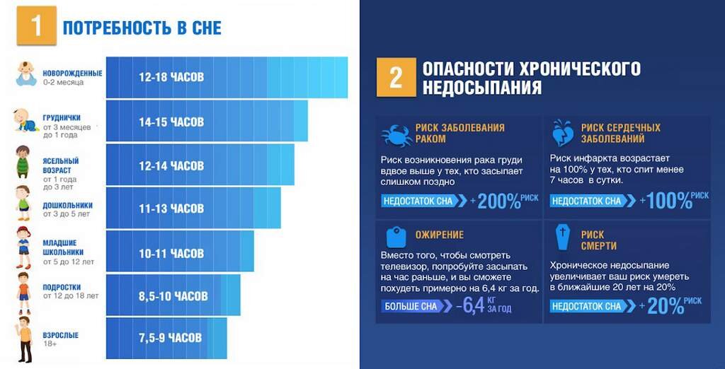 Фазы сна человека по времени таблица выспаться