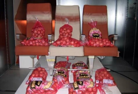 Картофель создает примерно такую же картину взаимодействия с радиоволнами, что и заполненный пассажирами самолет