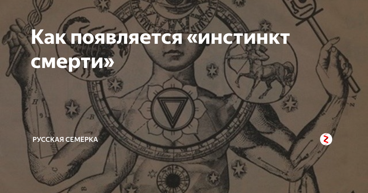 Как появляется «инстинкт смерти» | Русская Семёрка | Дзен