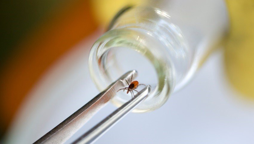  Фото: http://4geo.ru