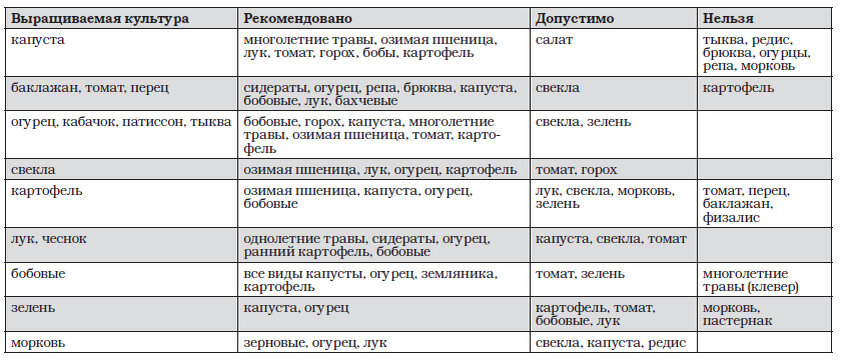 Можно ли садить чеснок после чеснока