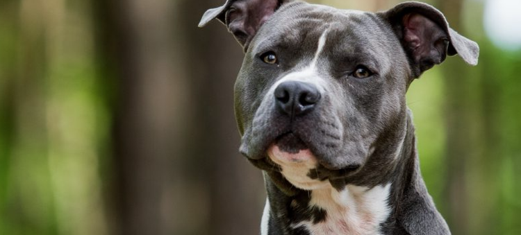 Лайк за внимательный взгляд! 😎