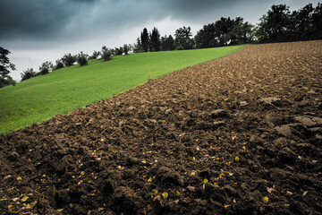 Разрешить их путем договоренности не удается, поэтому разбирательства продолжаются уже в судебном зале. Подобные дела в обязательном порядке предусматривают проведение землеустроительной экспертизы, за выполнение которой отвечают профильные специалисты. Заказать данную услугу лучше в Межрегиональном центре экспертизы и оценки - экспертной организации с десятилетним опытом. Кроме этого центру удалось собрать команду профессионалов, способных справиться с работами любой сложности. 