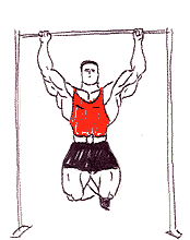 Держите корпус ровно и сохраняйте спину прямой. 
Возьмитесь за перекладину прямым хватом на ширине плеч.
Подогните ноги.
Не помогайте себе раскачиванием корпуса.
Подъем осуществляется за счет рук.
Подтянитесь так, чтобы подбородок оказался выше перекладины; Опуститесь вниз, выпрямив руки почти полностью.
В высшей точке подъема широчайшие мышцы сводятся вместе.
Опуститесь вниз, выпрямив руки почти полностью.