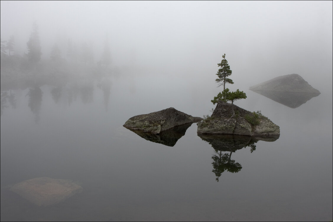                                                     Фотография с сайта photosight.ru