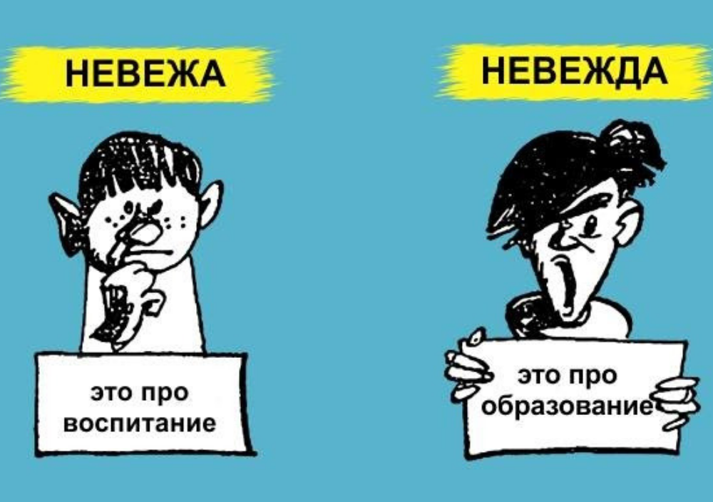 Что значит невоспитанный человек. Невежа и невежда. Невежа невежда паронимы. Паронимы картинки. Невеа иневеждаразница.