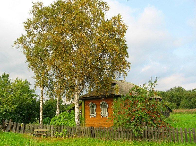 Домик с березкой картинка