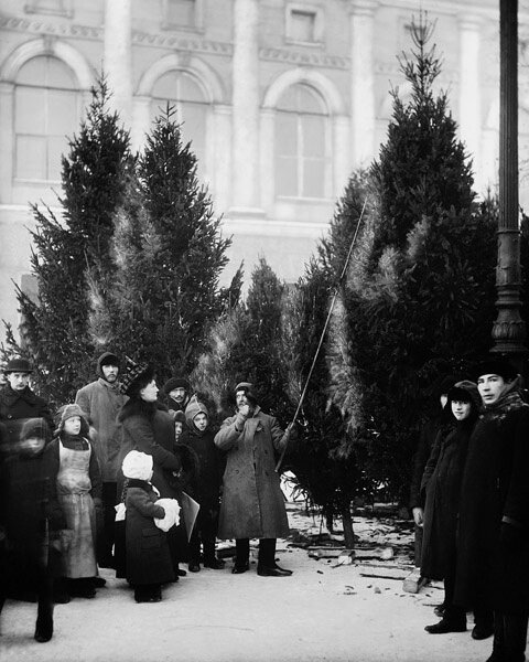  Елочный базар в саду Аничкова дворца. Карл Булла,  декабрь 1913 года, г. Санкт-Петербург, Невский пр-т, д. 39, Центральный государственный архив кинофотофонодокументов Санкт-Петербурга.