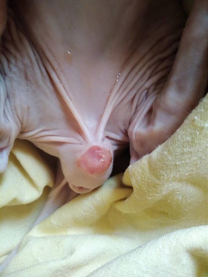 "Доухаживала - довылизывалась"... Стерла до мяса((( 