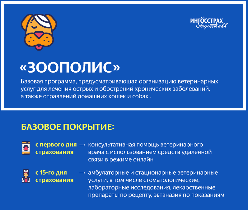 Данную страховую программу поддерживает более 200 ветеринарных клиник в Москве.