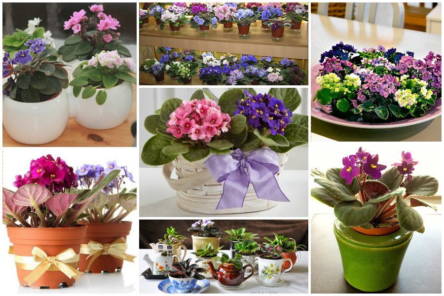 Изображение с сайта: https://svoimi-rykami.ru