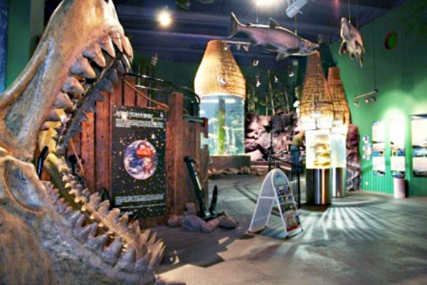 Петербургский океанариум