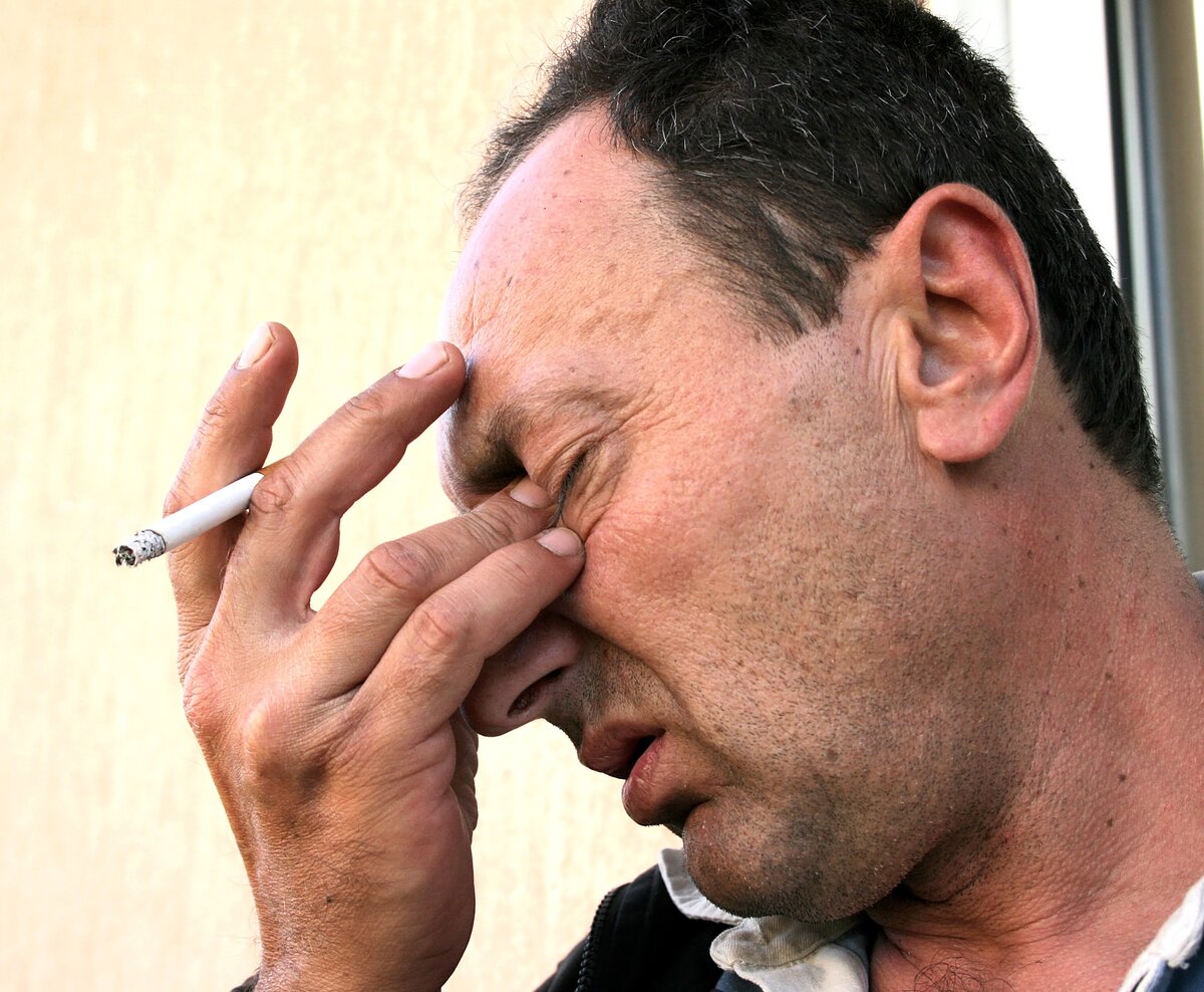 Фото: Легкополезно