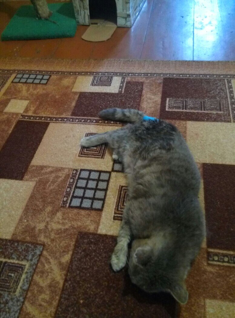-2