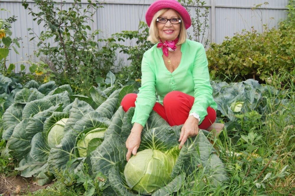 А у вас с опытом урожай становится больше?