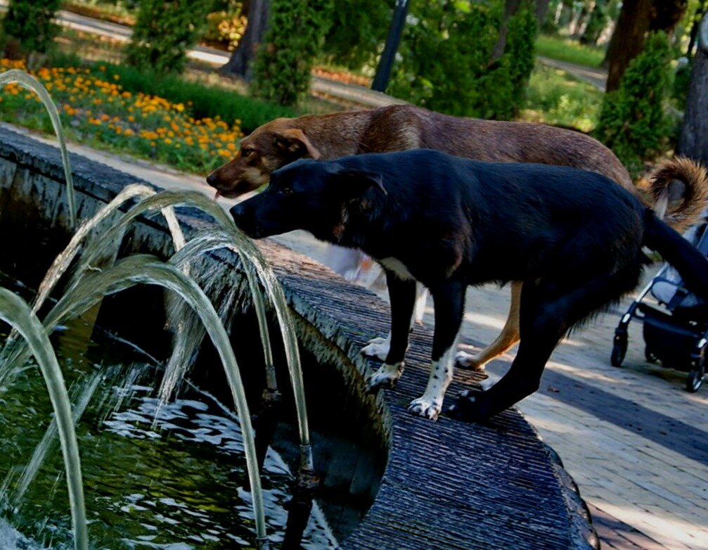 Фото взято из открытых источников.