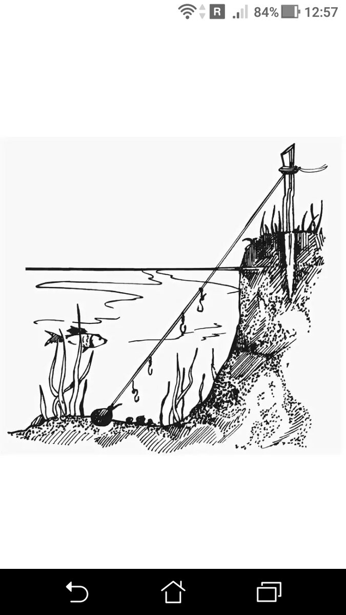 фото Донка с наглухо привязанным грузилом на конце лески с двумя и тремя крючками