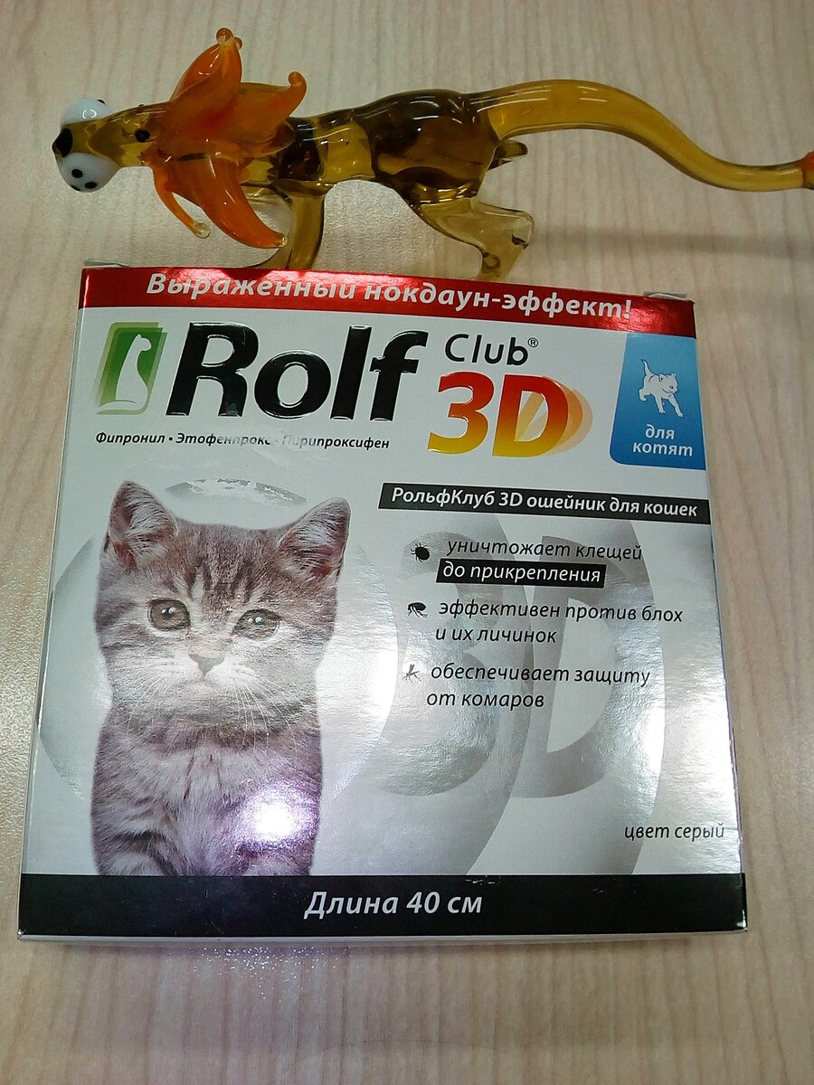 Зачем нужен 3D-ошейник для кошек? | Гид Парфюм. Блог о парфюмерии | Дзен