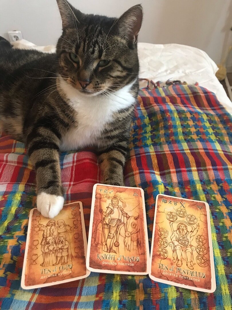 Пример расклада на отношения "Мысли, чувства, планы"