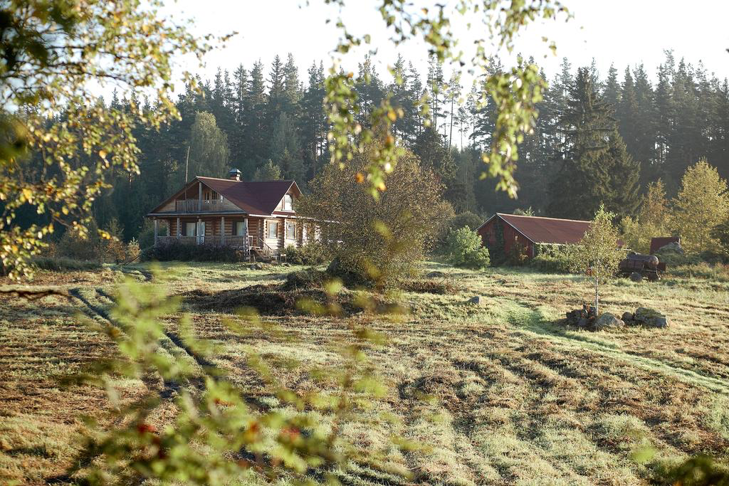 Хутор сайт. Тиурула Карелия. Хутор Алдога. Деревни Тиурула. Поселок Тиурула.