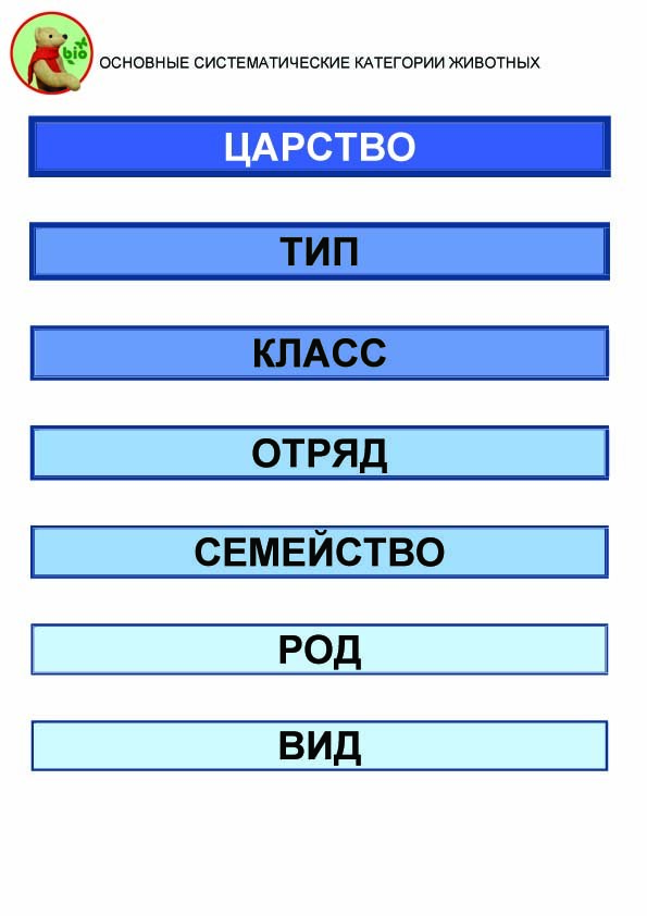 Основные систематические категории животных