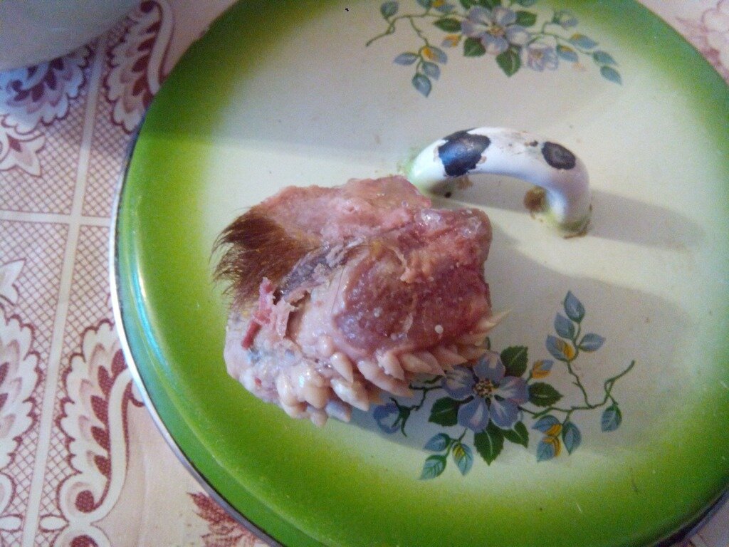 Непонятный клык в тушенке.