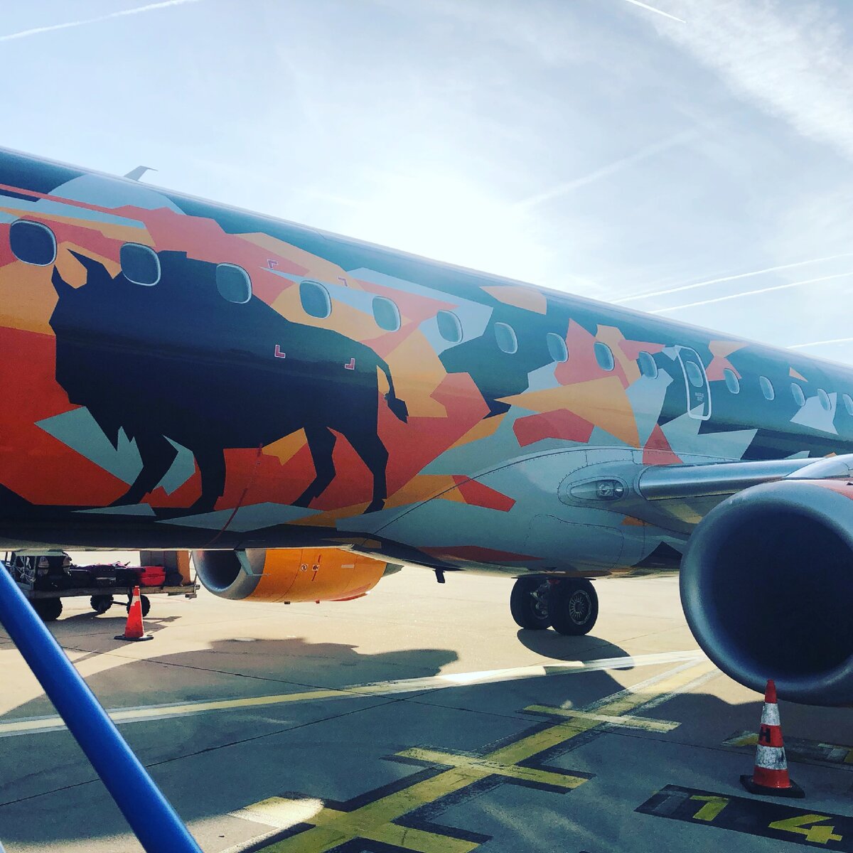 Мой самолёт из Минска в Париж 