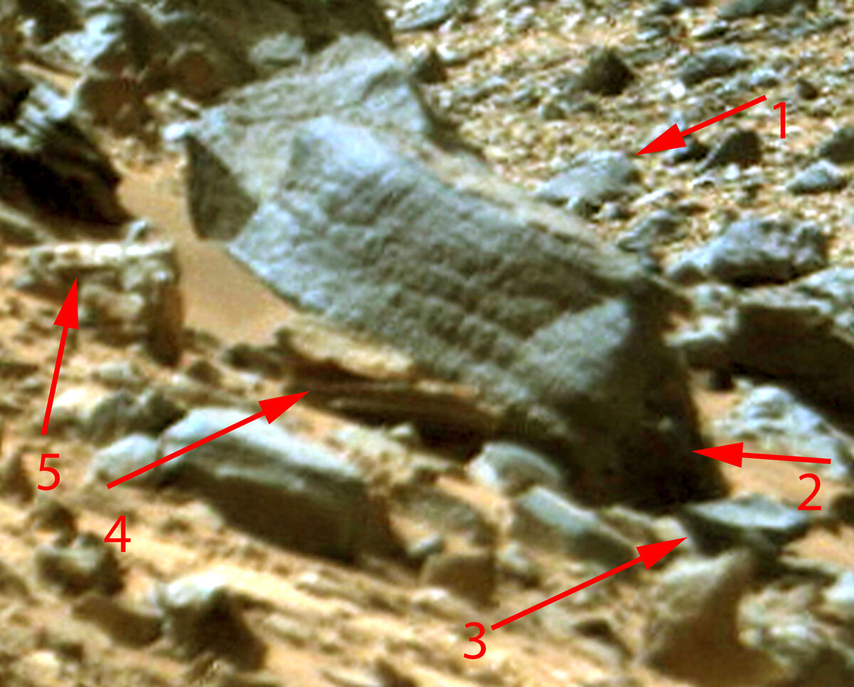 Стоит на "задних лапках".