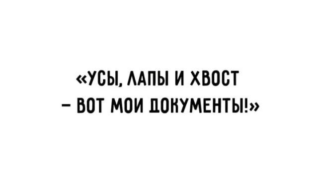 Фото с общего доступа.